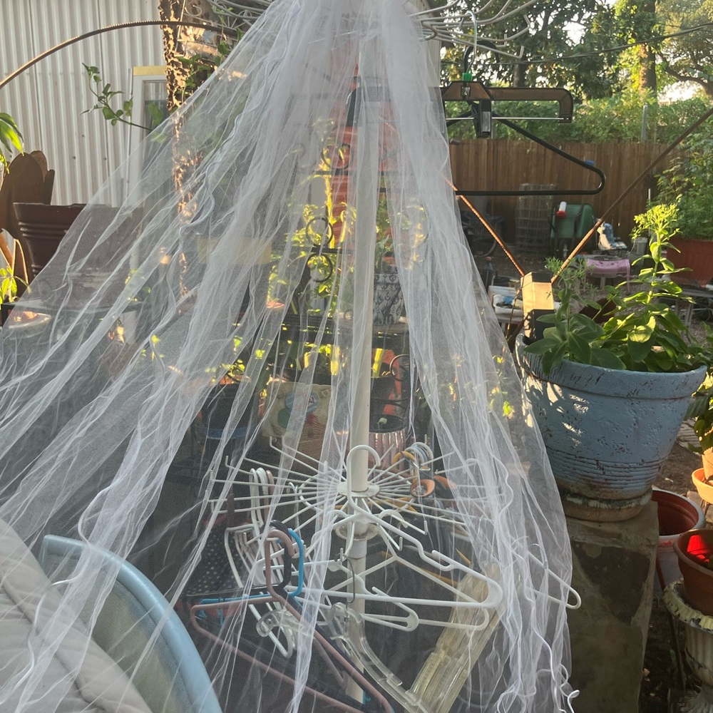 Elegant White Bridal Veil